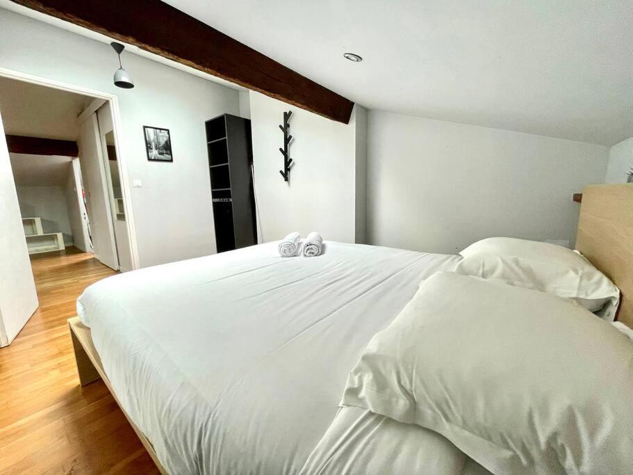 Le Charmeur - Appartement Climatise Avec 2 Chambres - Hypercentre Toulouse Kültér fotó